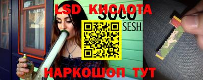 spice Заводоуковск