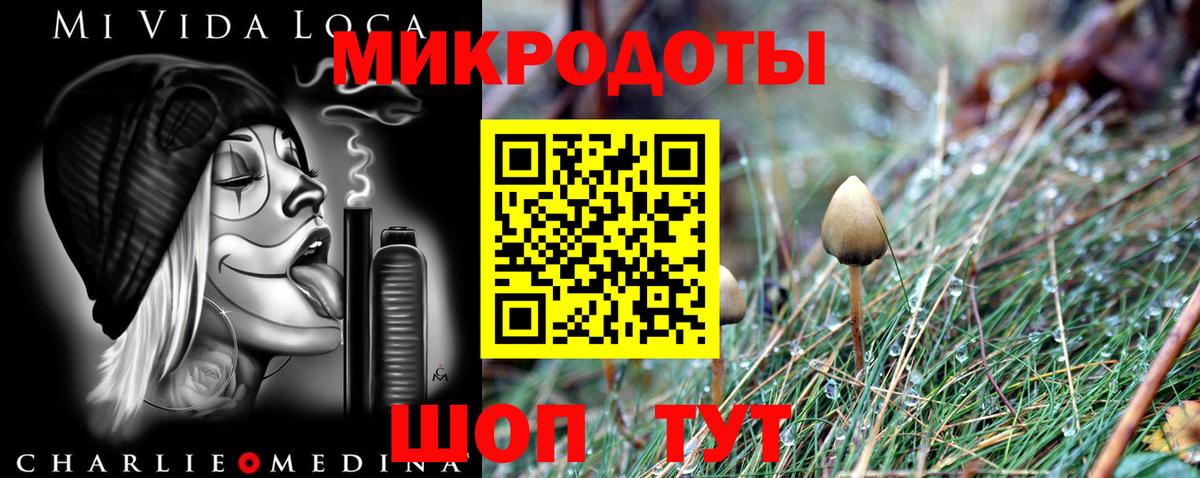 Псилоцибиновые грибы мицелий Домодедово